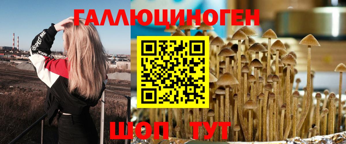 Псилоцибиновые грибы прущие грибы Богородск